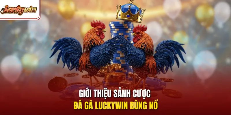 Giới thiệu sảnh cược đá gà LUCKYWIN bùng nổ 