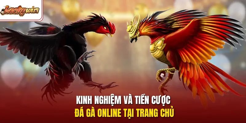 Kinh nghiệm và tiền cược đá gà online tại trang chủ