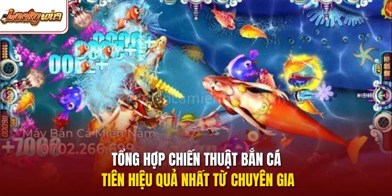 Tổng hợp chiến thuật bắn cá tiên hiệu quả nhất từ chuyên gia
